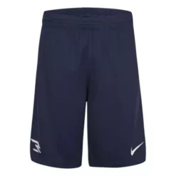 Boys' Nike Badge RWB Shorts